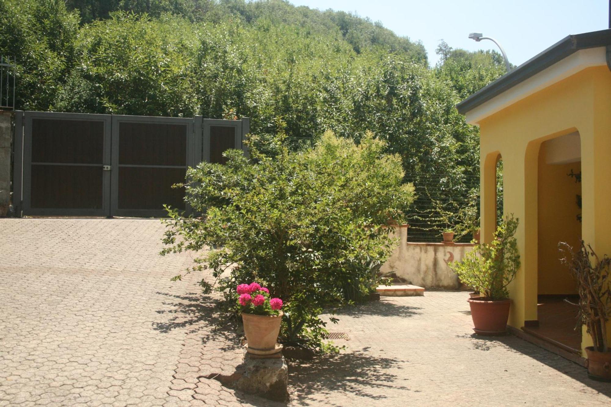 B&B Del Castagneto San Marco Argentano Ruang foto